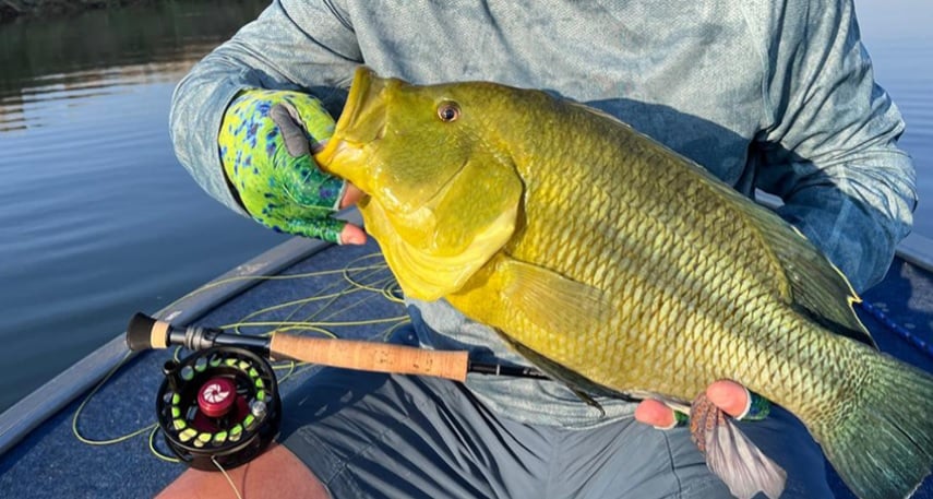 5 Day Tiger Fishing Adventure at Muchenje River Lodge